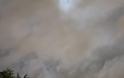 ¿Ha llegado la primavera?